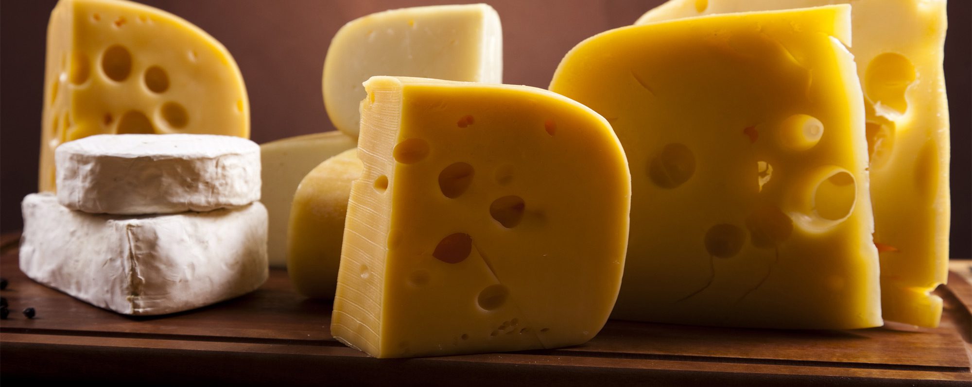 Queso y L&aacute;cteos
